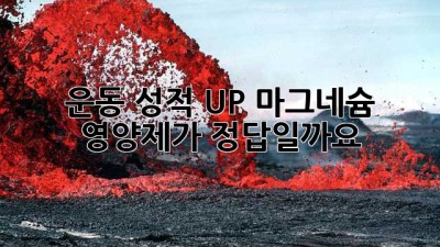 운동 성적 UP! 마그네슘 영양제가 정답일까요?